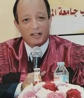 احمد محمود هويدي